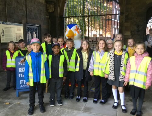 Bayle Museum – Year 3