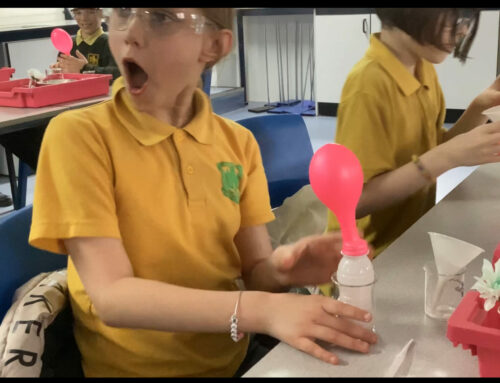 Science Day – Year 5 April 2024