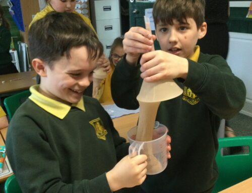 The Digestive System – Year 4